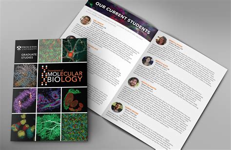 Biology Brochure Templates
